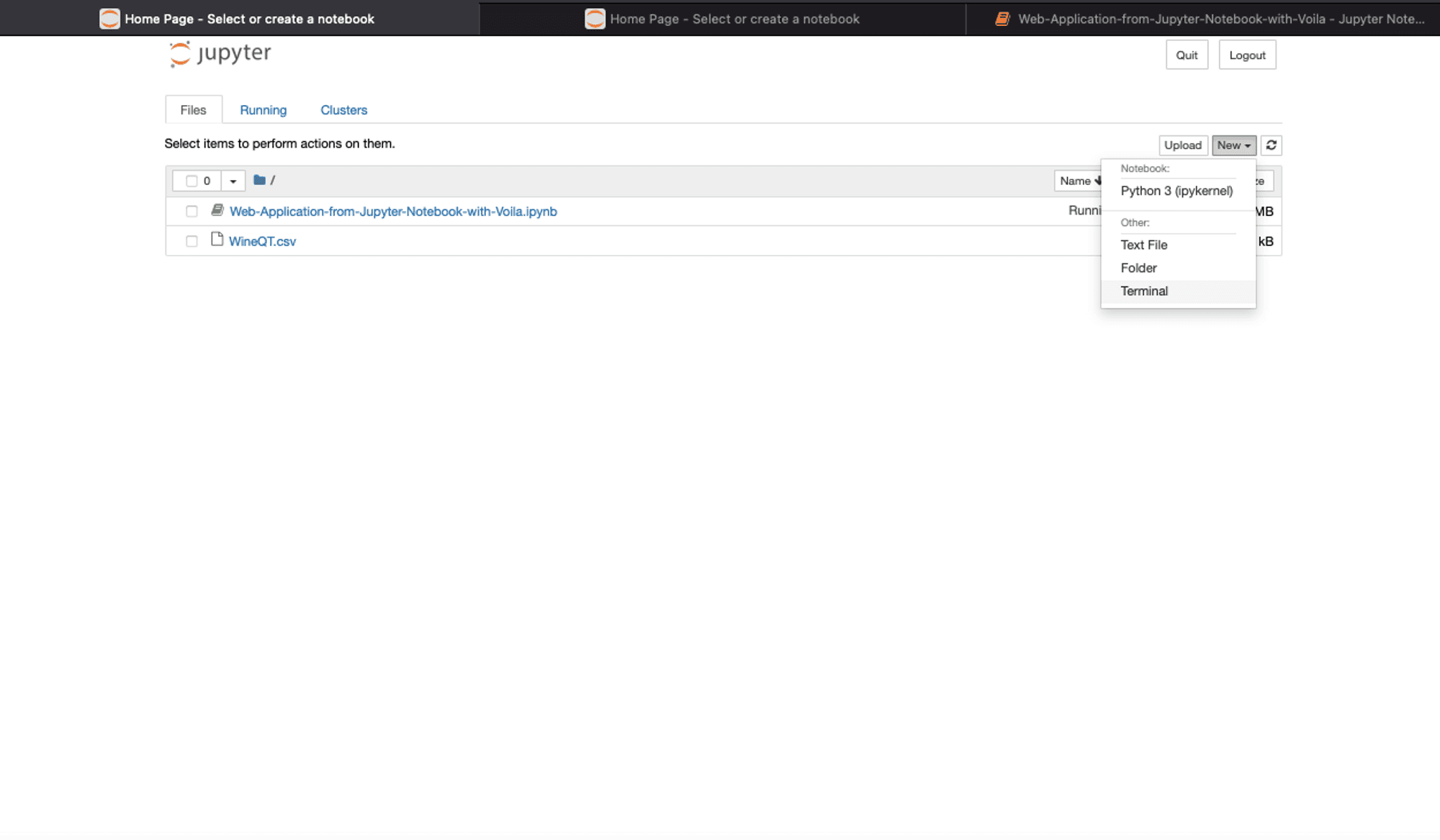 Open Jupyter Terminal