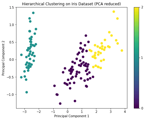 Hierarchical Clustering